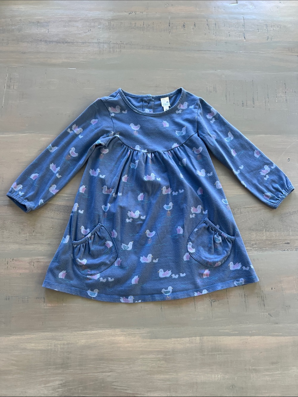 3T Blue & Pink Dress / Long Sleeved Top. Bird Duck Design. 🦢 **STAINS**